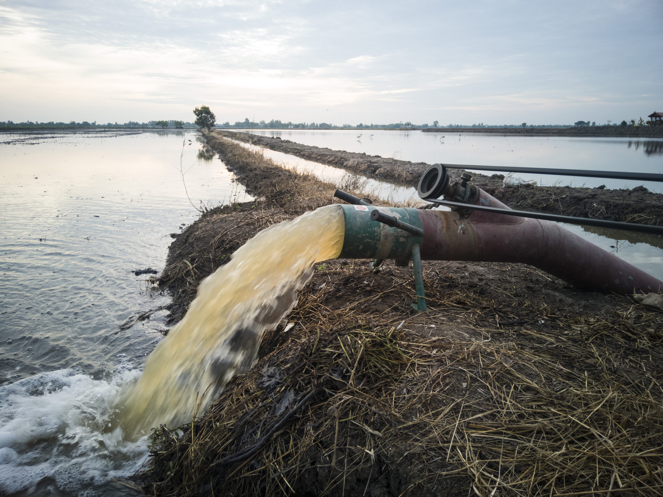 water pump pipe at my rice farm.