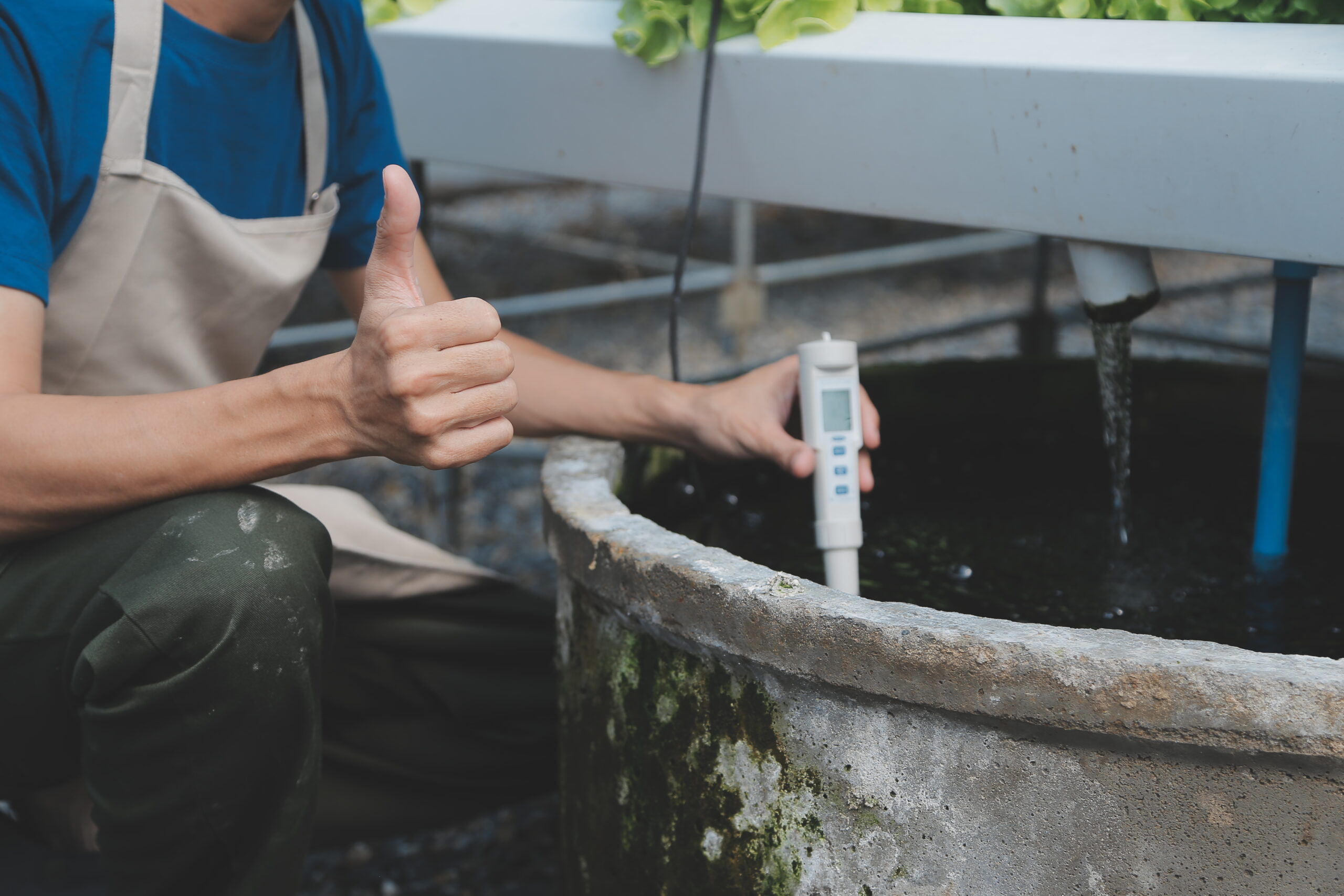 View of an attractive farmer in a greenhouse using tablet